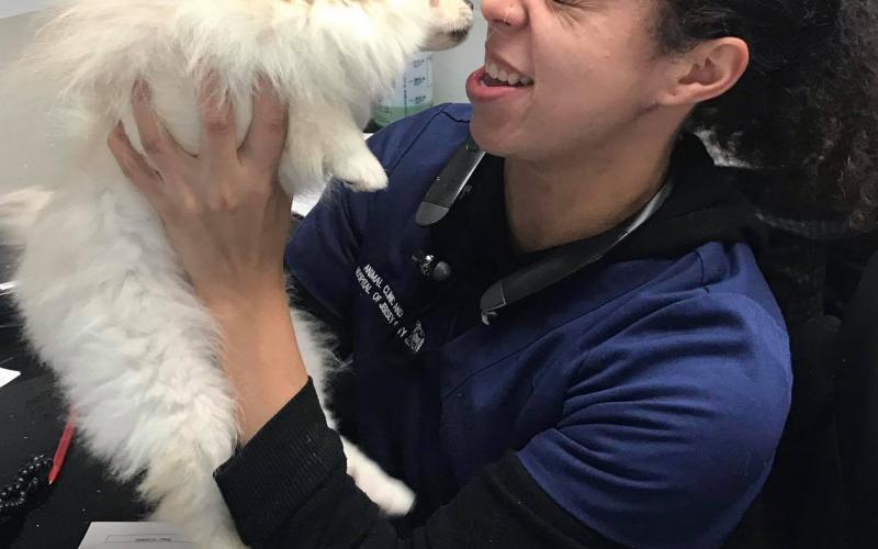 Find Pet Care Information and Veterinarians in Jerseycity, Newjersey